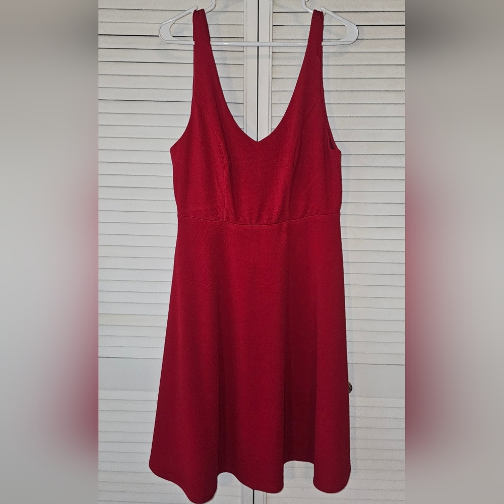 Red Fit and Flare dress